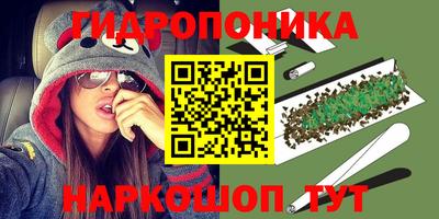 jwh Камышлов