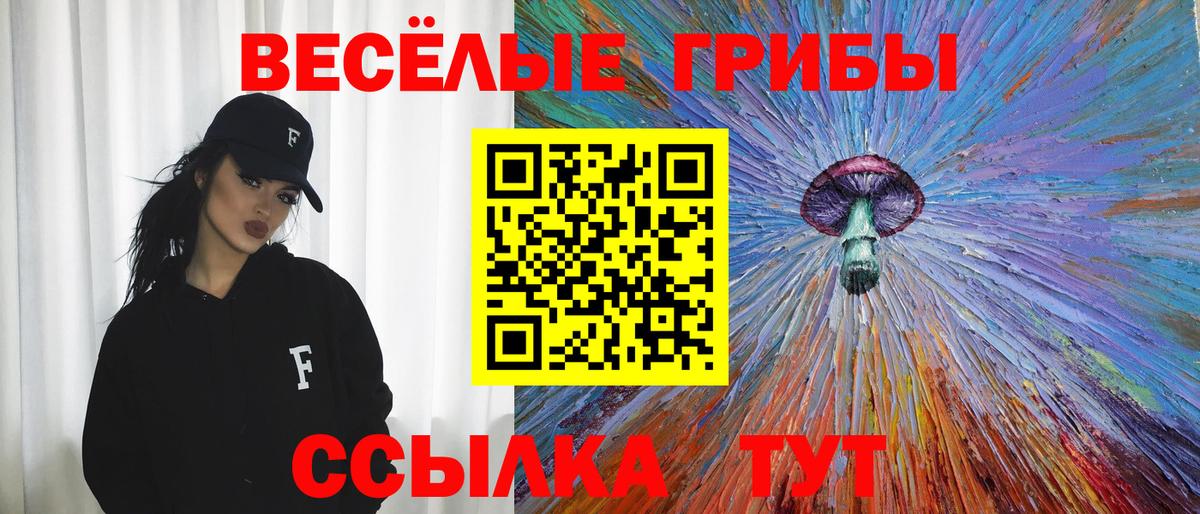 Балтийск  Галлюциногенные грибы мицелий  Псилоцибиновые грибы Psilocybine cubensis  Вход с VPN 