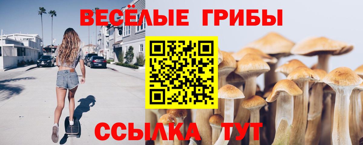 Галлюциногенные грибы ЛСД Балтийск